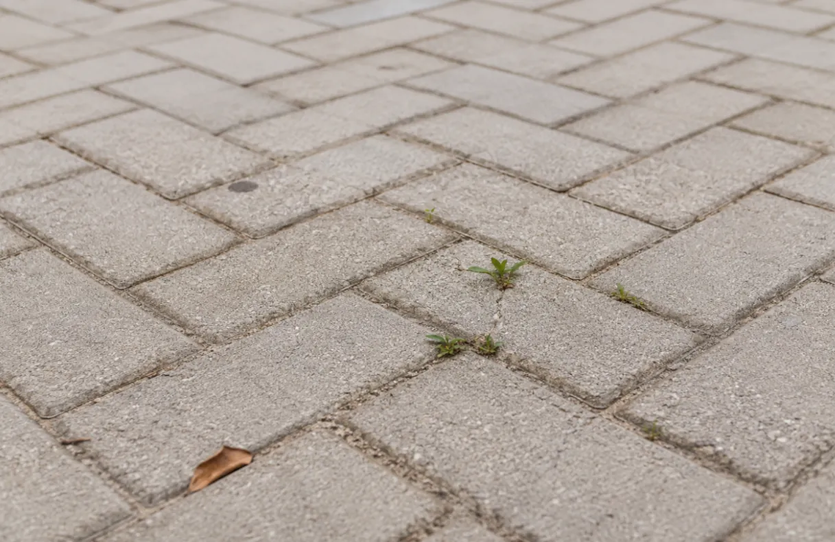 How to Stop Weeds Growing Between Pavers