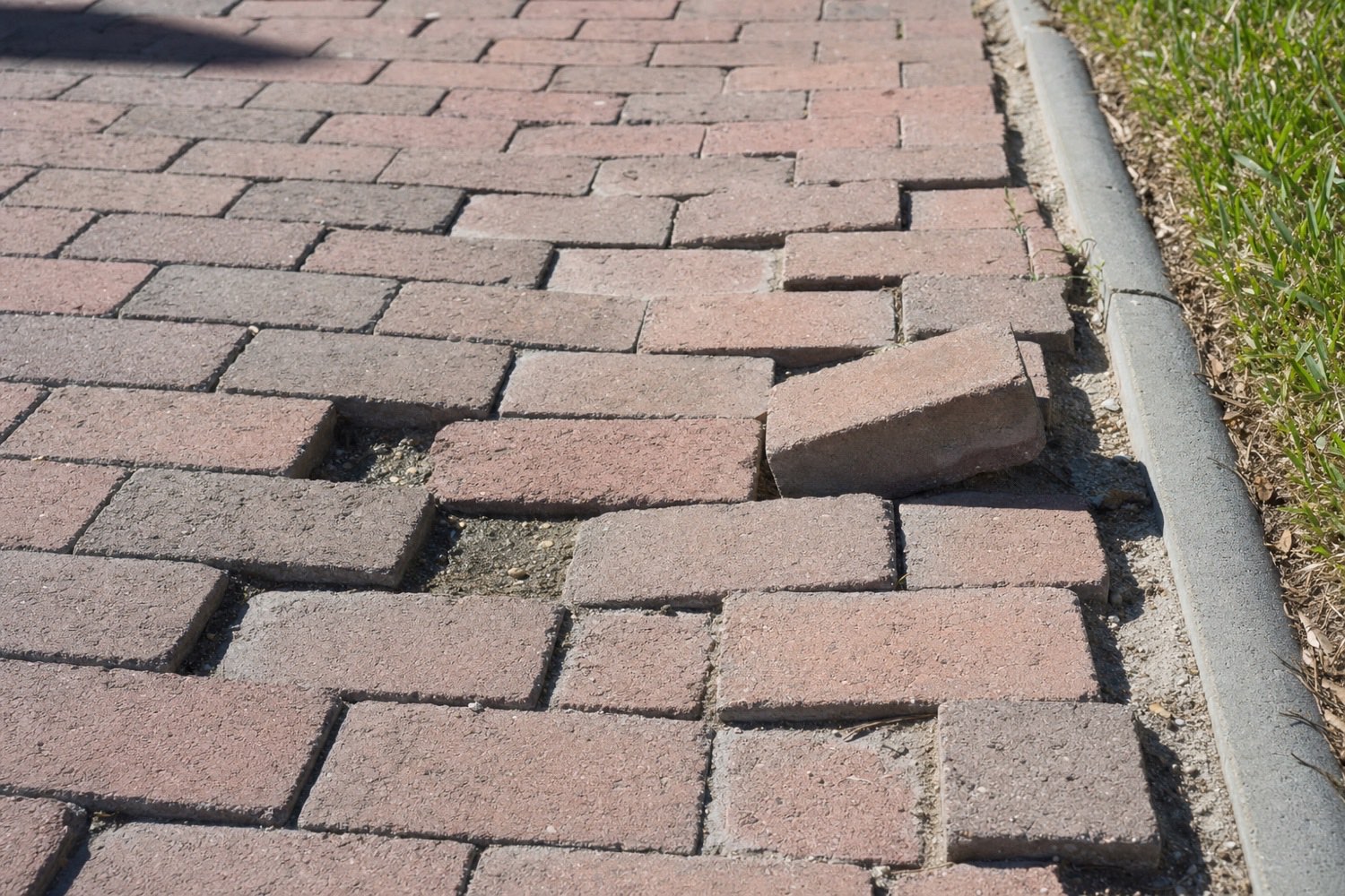 Settled pavers with washed-out joint sand on a South Florida walkway before repair